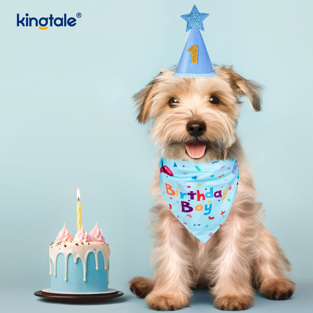 ペットの誕生日バンダナセット