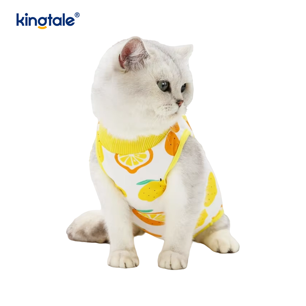 犬用回復服