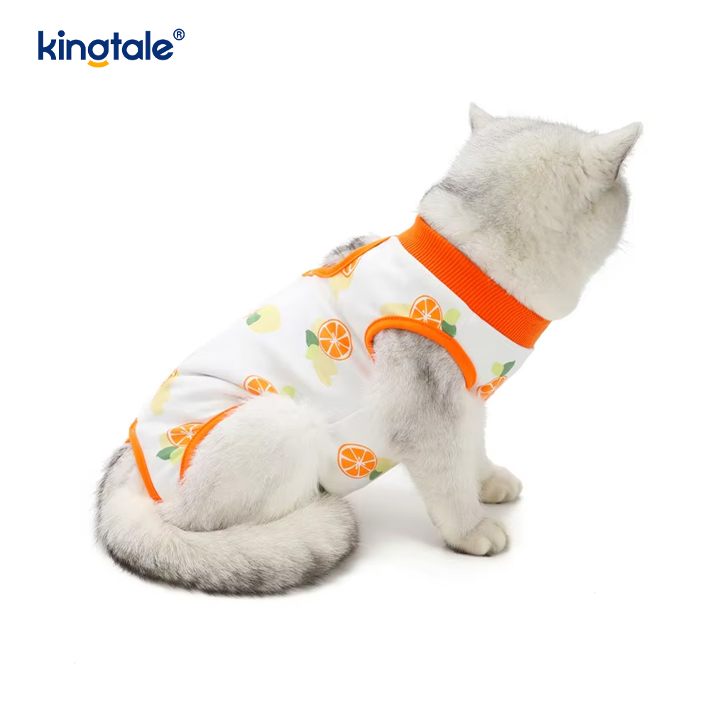 犬用回復服