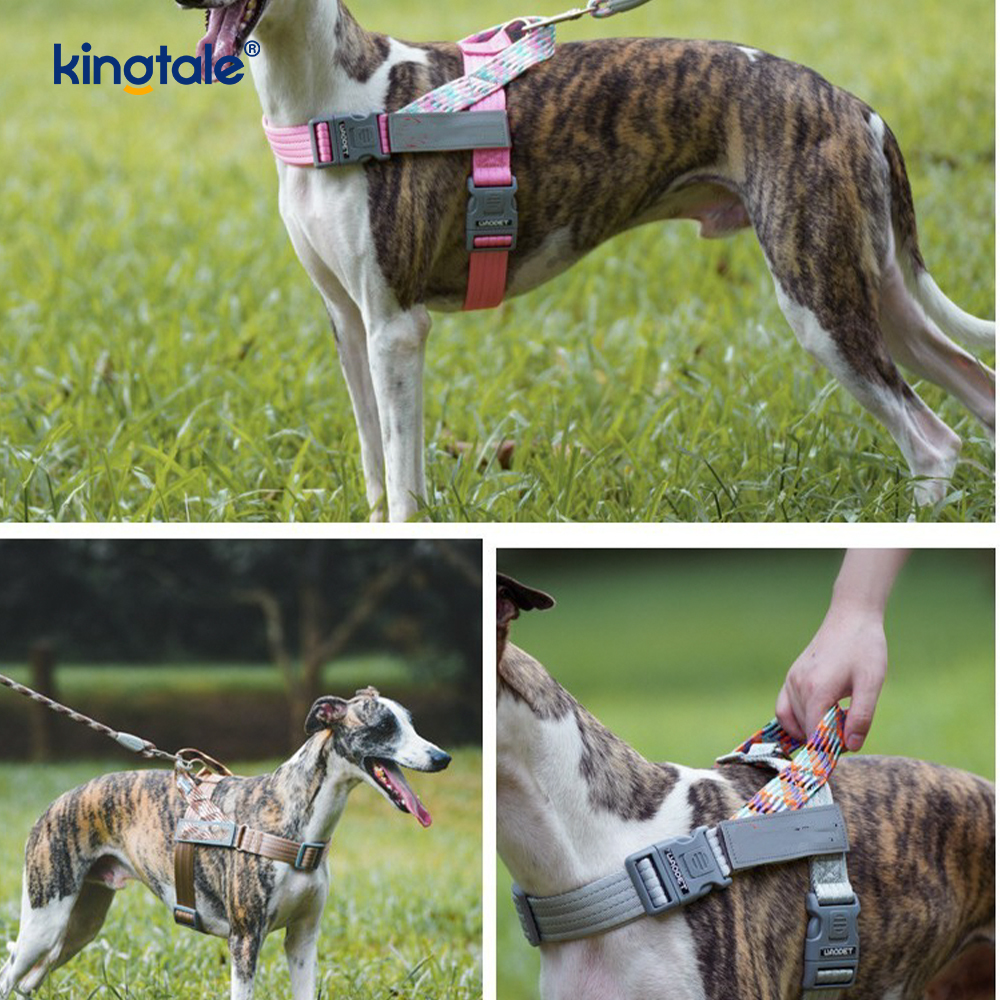 開発された編組ナイロンウェビングハイライト反射犬用ハーネス