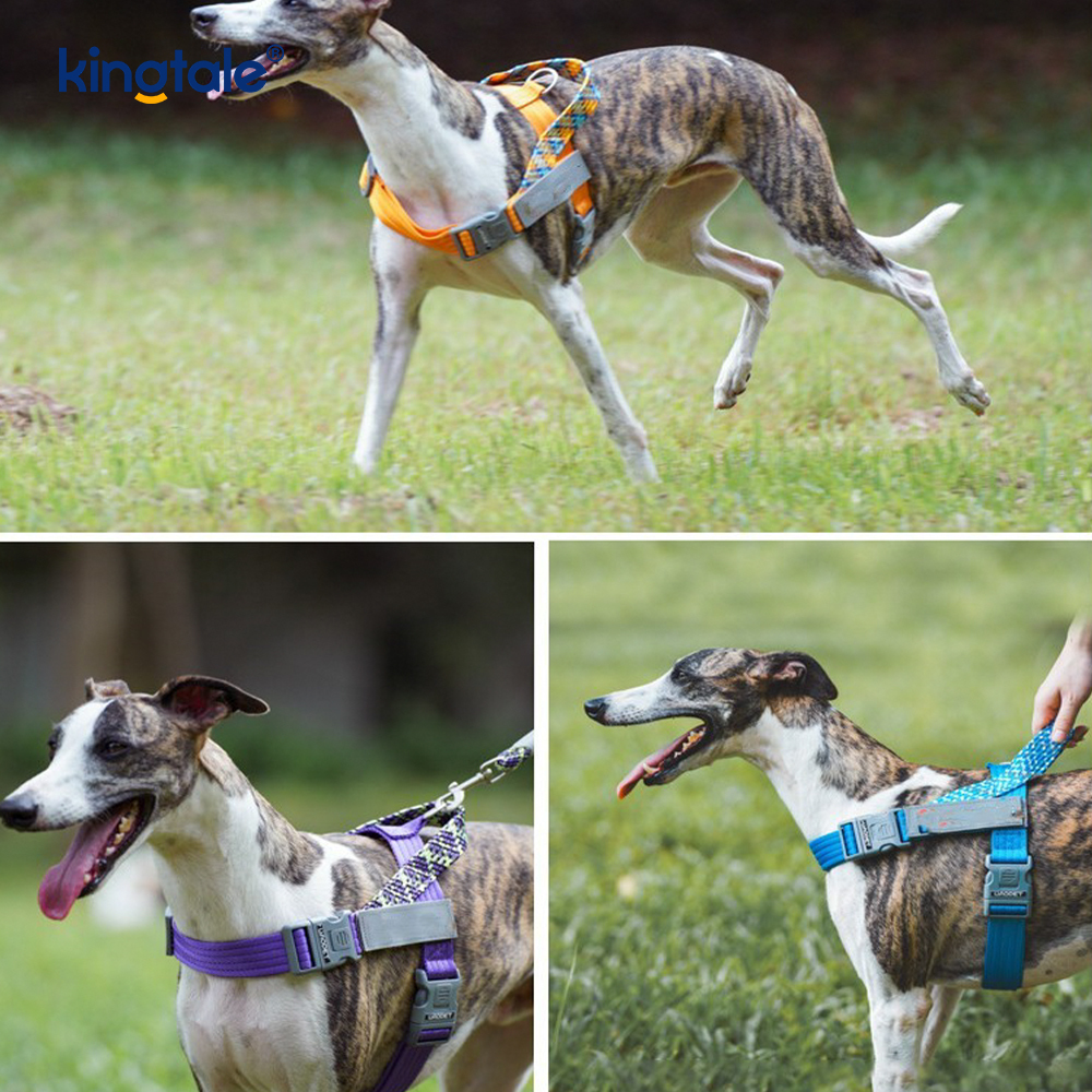 開発された編組ナイロンウェビングハイライト反射犬用ハーネス