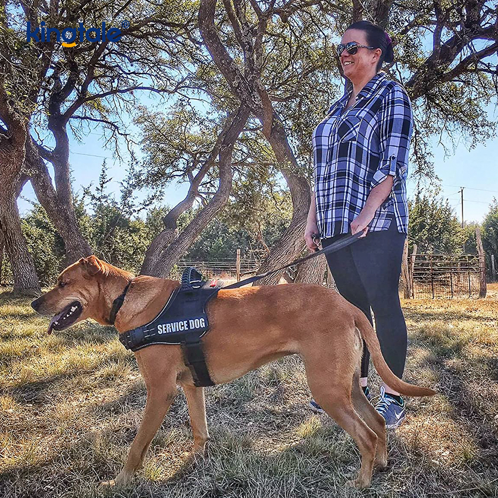 プルなし反射デザイナー犬用ハーネスソリッドナイロンロープ犬用リード