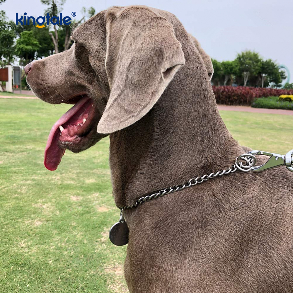 金属訓練犬チョーク首輪スリップ P チェーン犬のための重チェーン