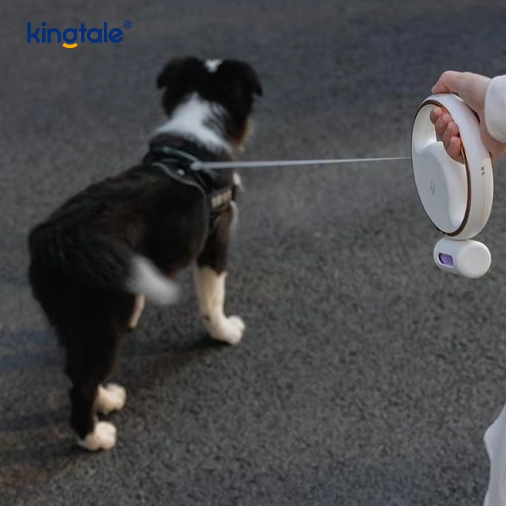 シンプルでモダンな LED 照明自動格納式ナイロン犬の首輪リード