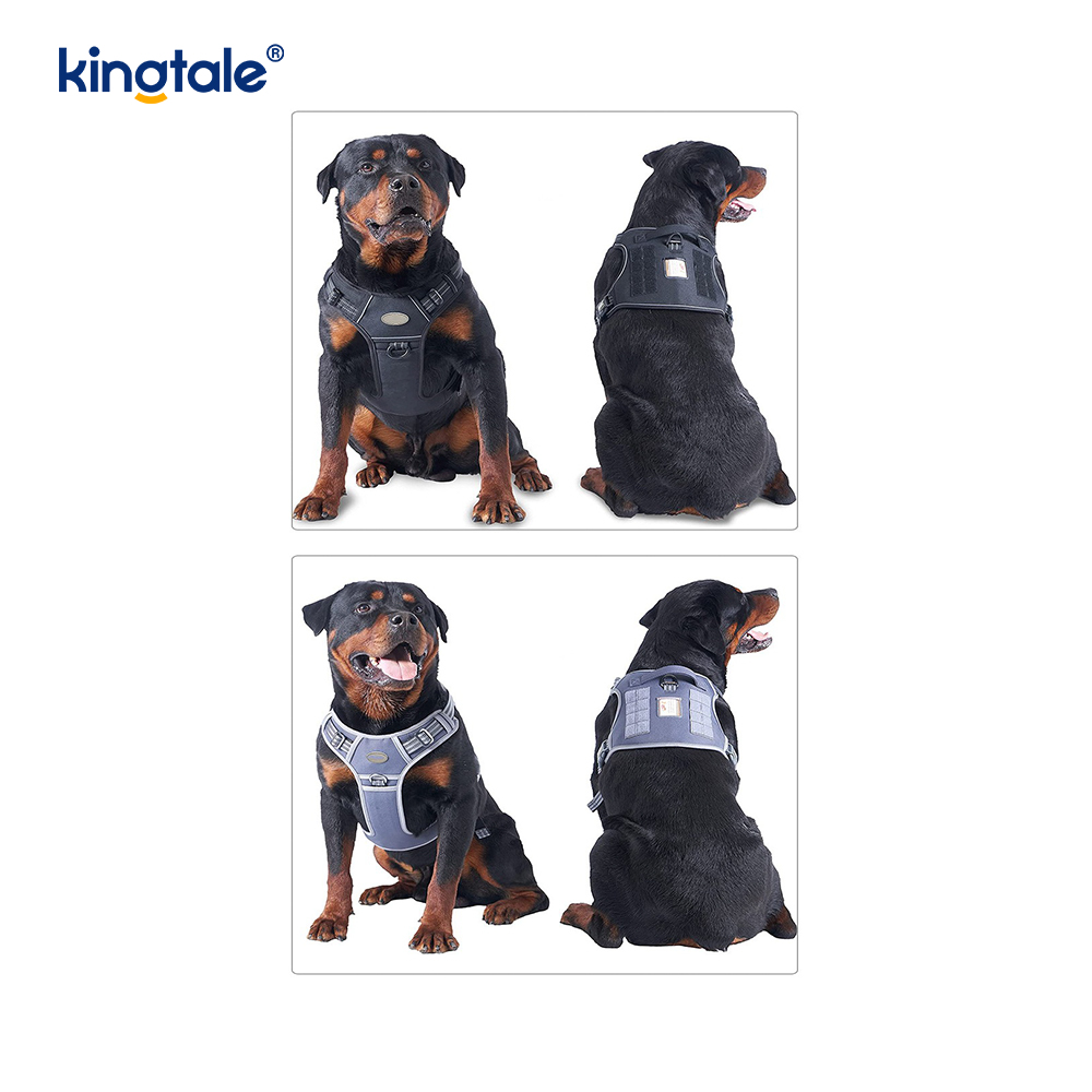 ソリッドノープルナイロンヘビーデューティ犬用ベルトベストトレーニングハーネスチェスト