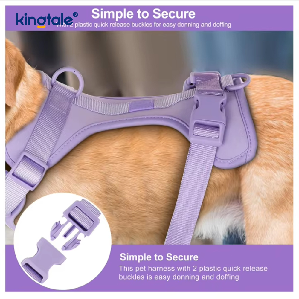 カスタムファッショナブルな軽量防水PVC犬ハーネスリーシュ首輪