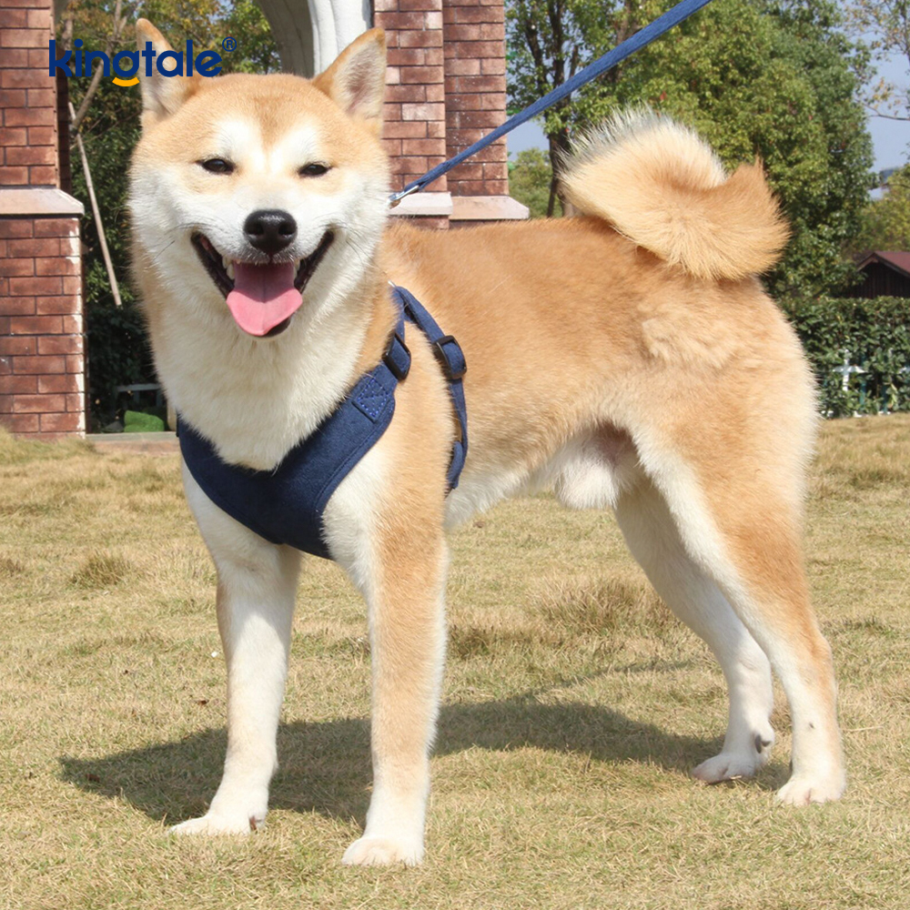 レザー 調節可能な小型ペット 犬 猫 ブリンブリン ラインストーン ハーネス & リーシュ セット