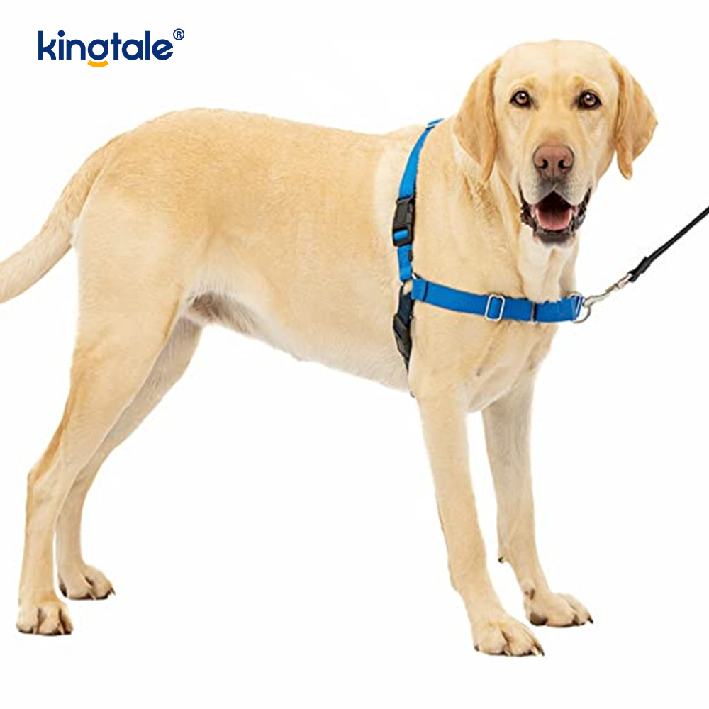 引っ張らない犬用ハーネスは、引っ張るのをやめてコントロールし、リードのマナーを教えるのに役立ちます