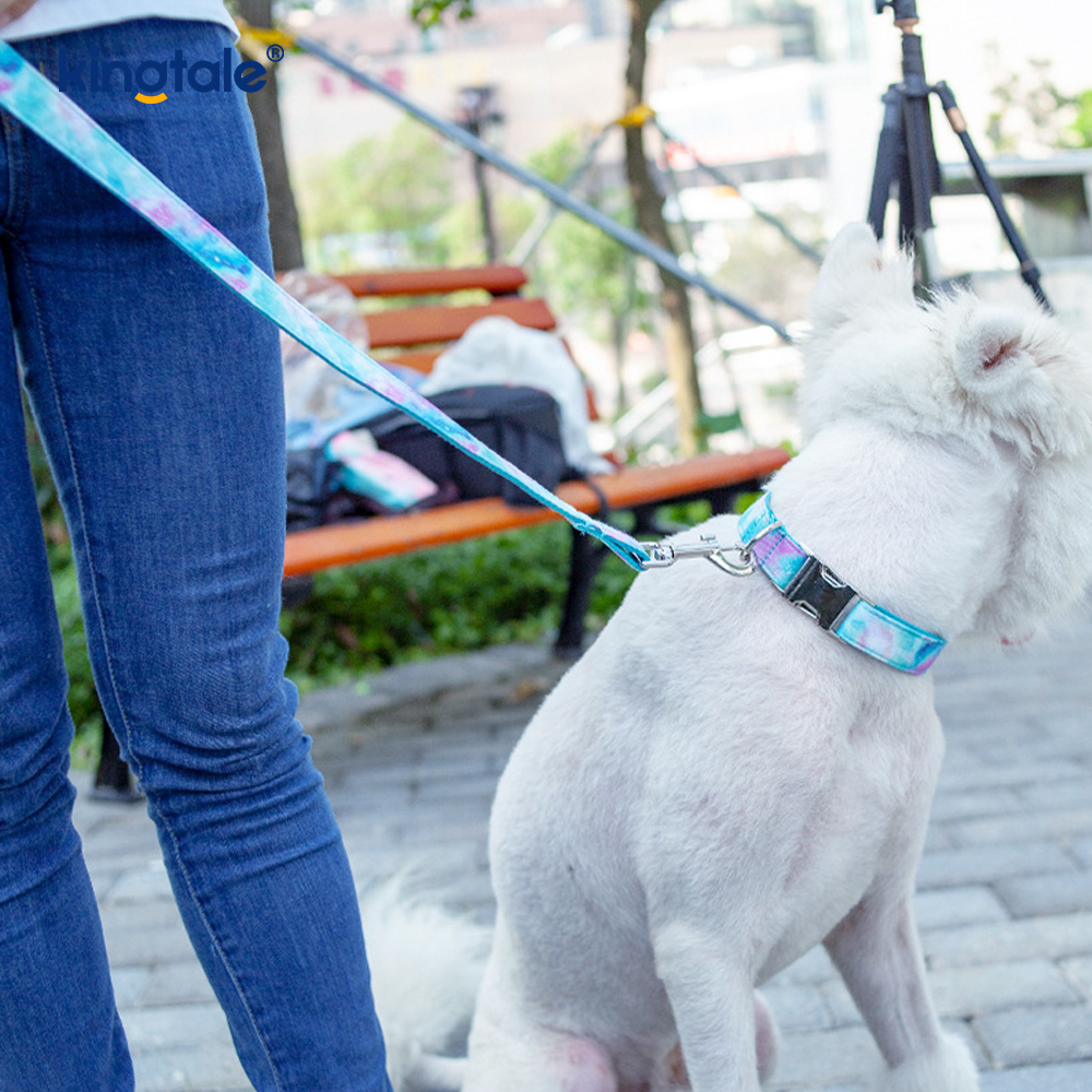 ドリーミー星な空ペット首輪 アマゾン風犬用ネックレス リード