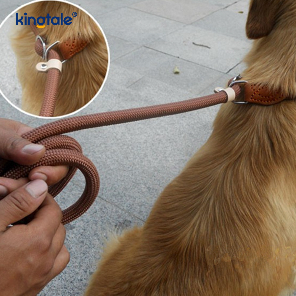 引っ張り防止犬用 非常に長くて続く Pリードトレーニング スリップリード