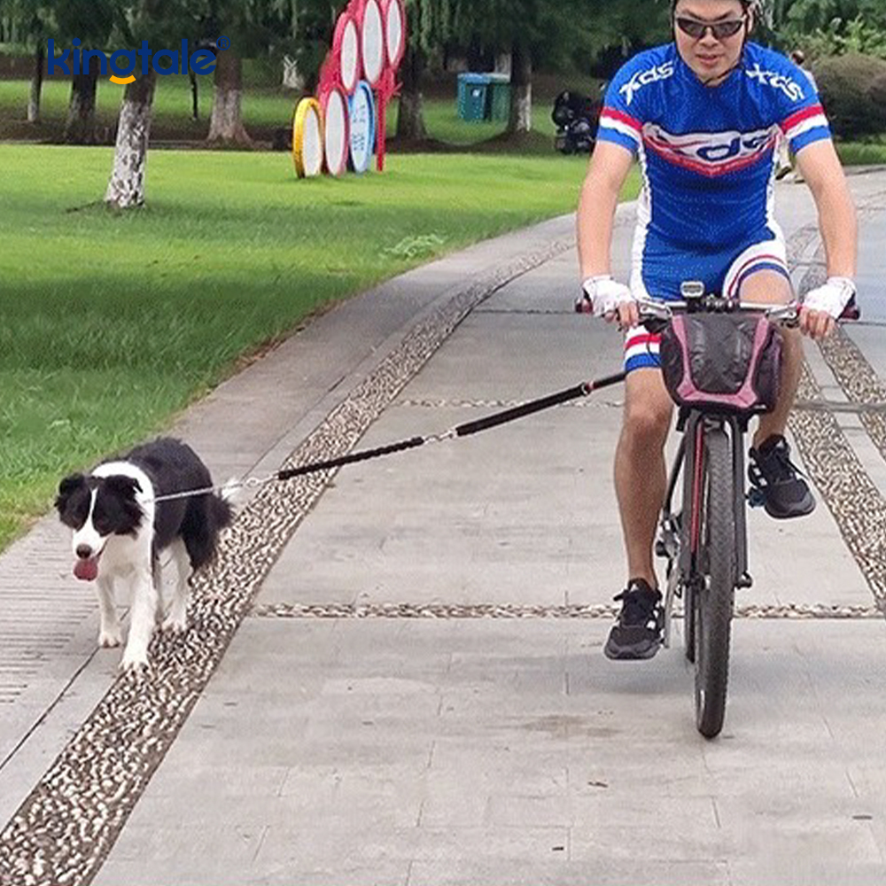 自転車用犬用リードアタッチメント ハンズフリーサイクリング用犬用牽引ロープ